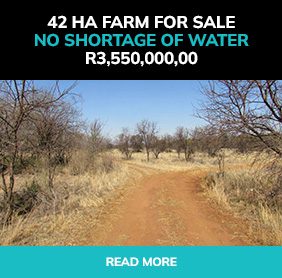 brite x 42 hectare farm s 3 - Real Estate Agent Gauteng - BRITE-X Property Group